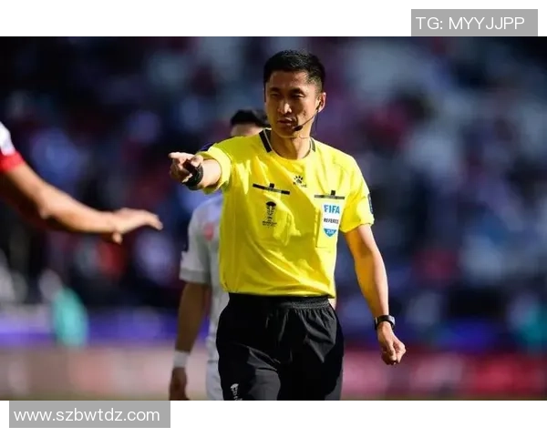 北青:马宁十分有望入围2026年世界杯法律裁判员阵型